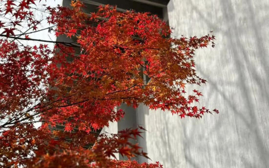 博物馆里过大年 | 马年接圣旨！圣旨博物馆新春文化礼包已就位