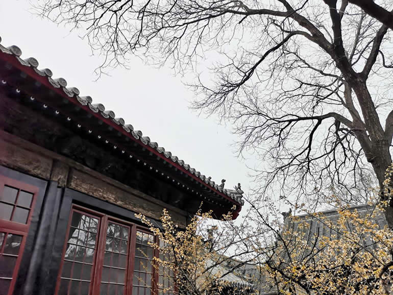 图片8.jpg